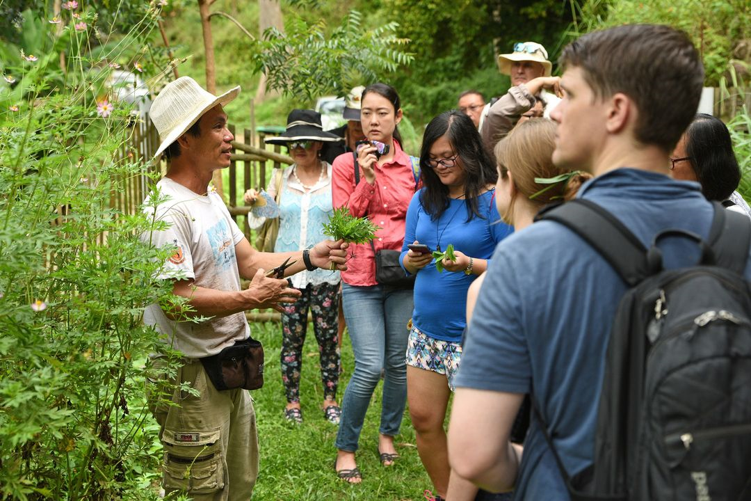 things to do penang - tour guide gives tour to visitors 