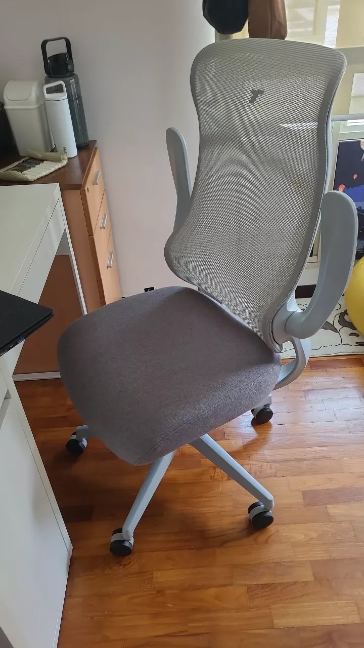 Best Ergonomic Chairs In Singapore - Chair with armrest 