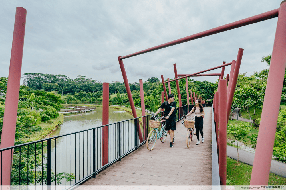 Culture Shocks Singapore Cycling Paths