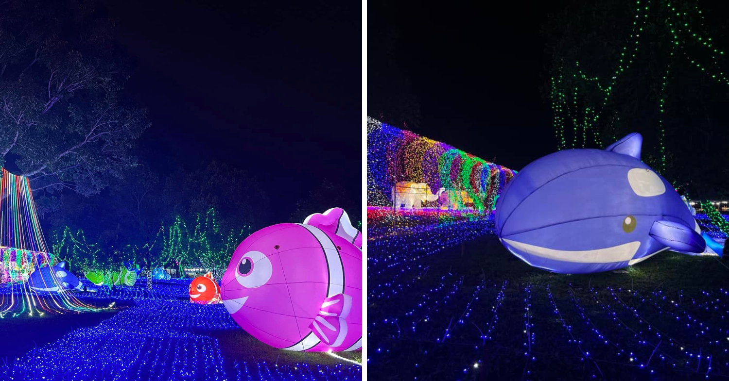 Luna Lights Wonderland - fish & dolphin