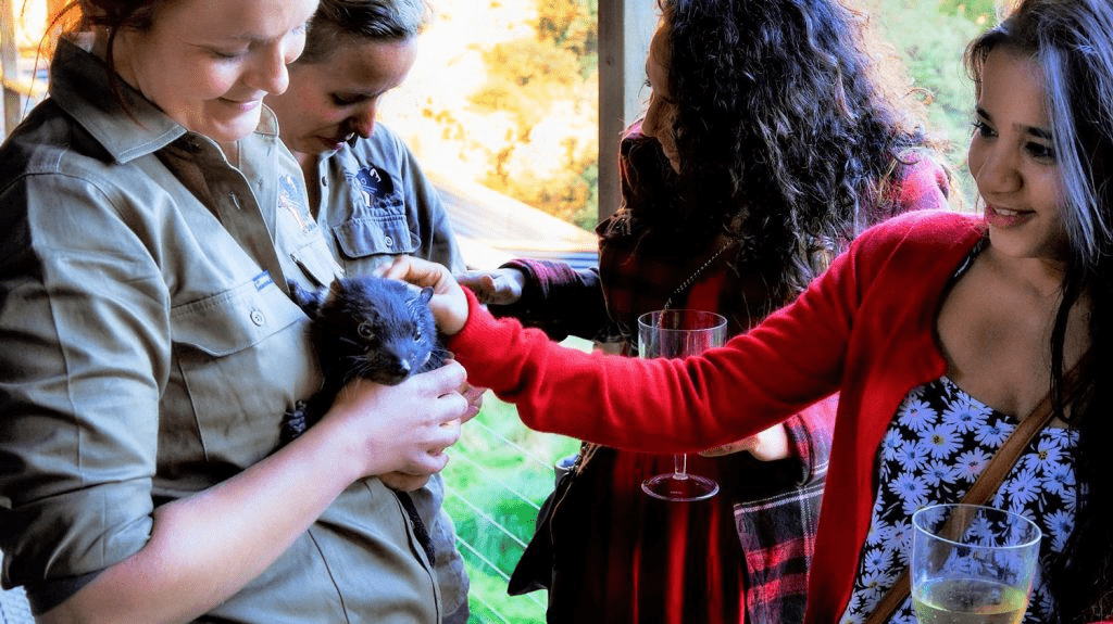 Petting Tasmanian Devils
