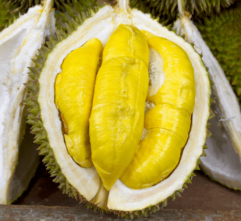durian - August Deals 2024