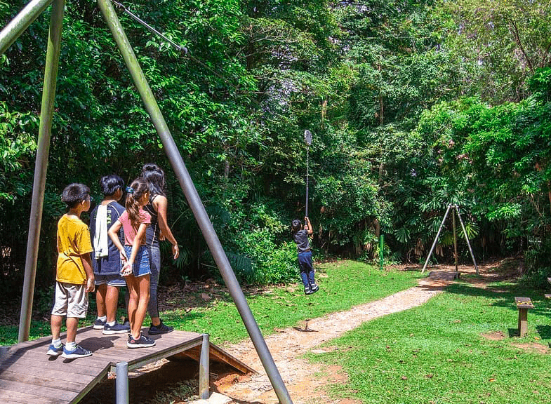 bukit timah nature reserve - mini zipline