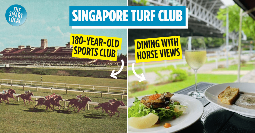 singapore turf club - cover image
