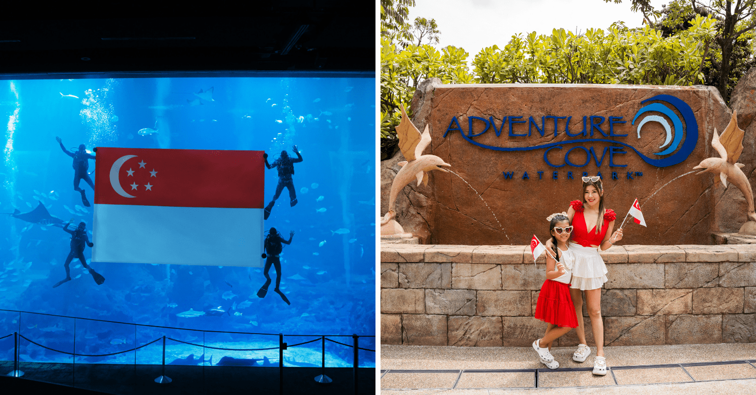Activities at S.E.A. Aquarium & Adventure Cove Waterpark