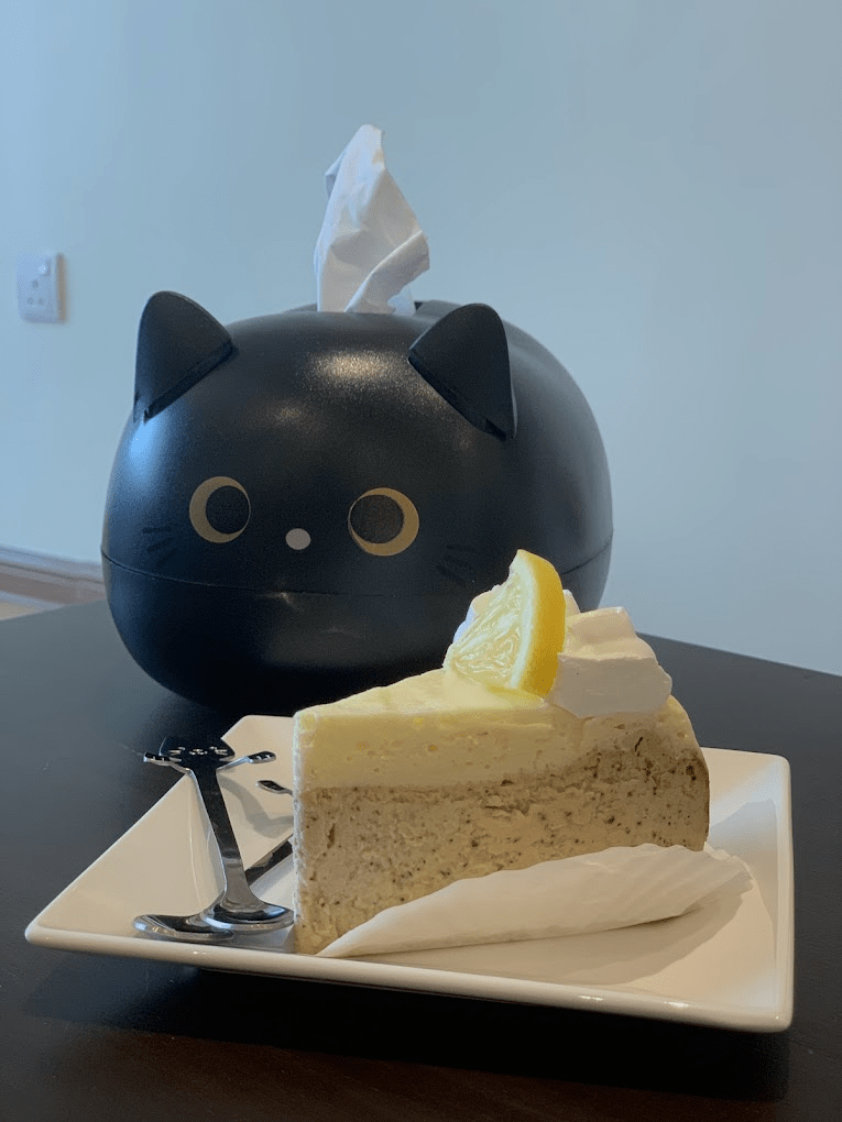 Cat Cafe In JB - Cat Times Cheesecake