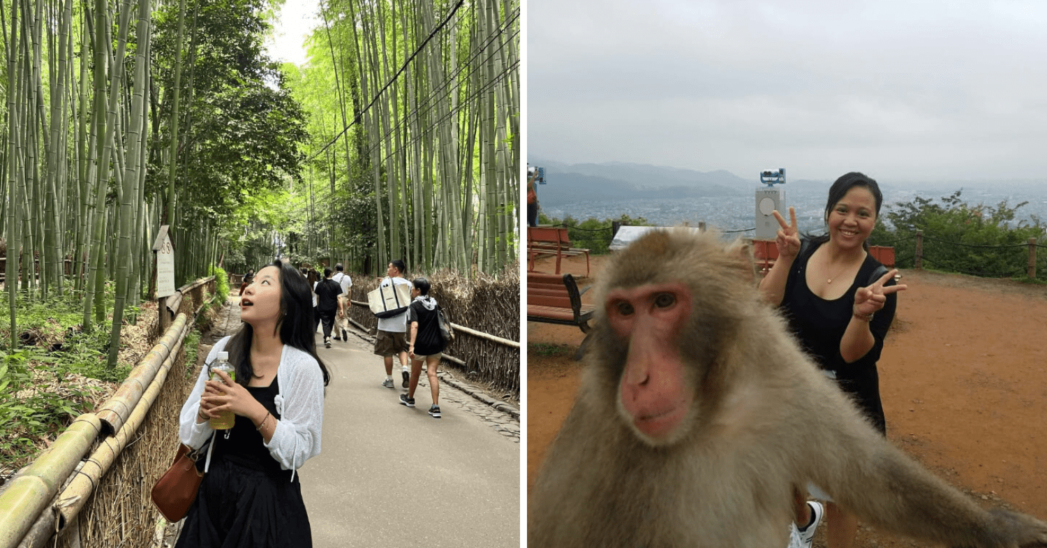 Cities In Japan - Arashiyama Bamboo Forest & Monkey Park
