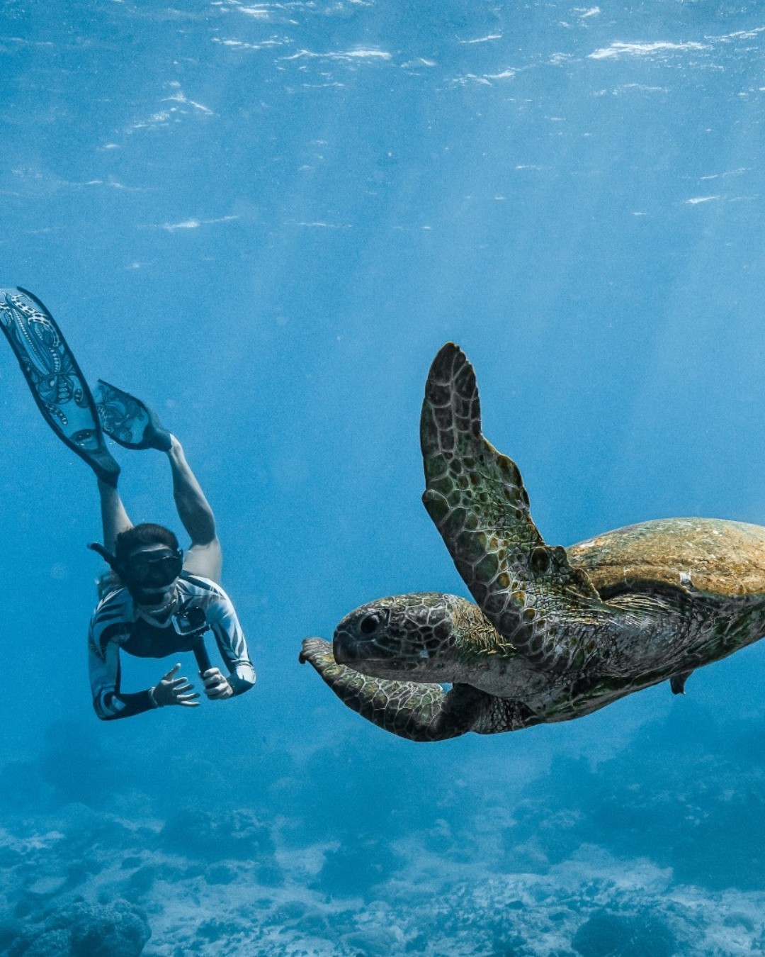 Cocos Keeling Islands - turtle diving