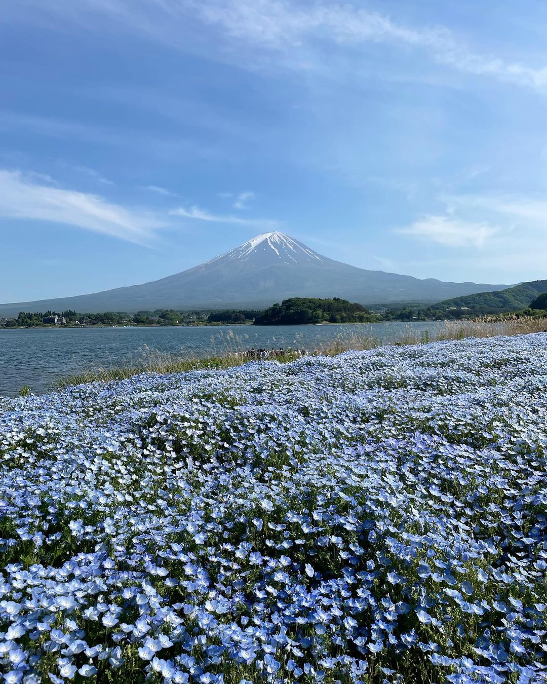 Mount Fuji