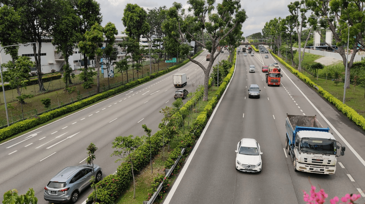 New Parks In Singapore - Ayer Rajah Expressway.(AYE)