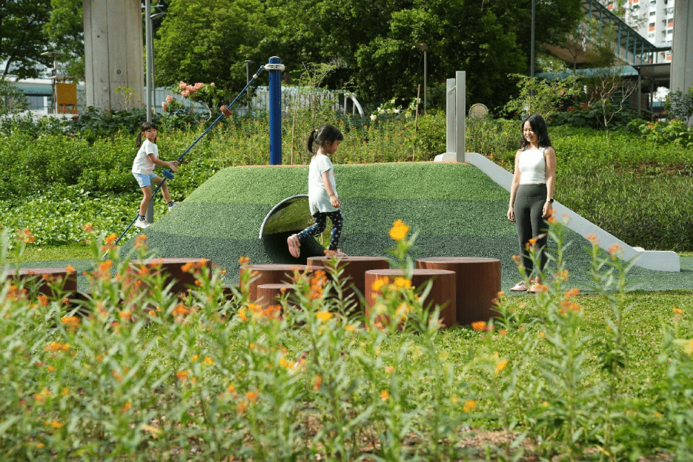 New Parks In Singapore - Buona Vista Community Node Playground