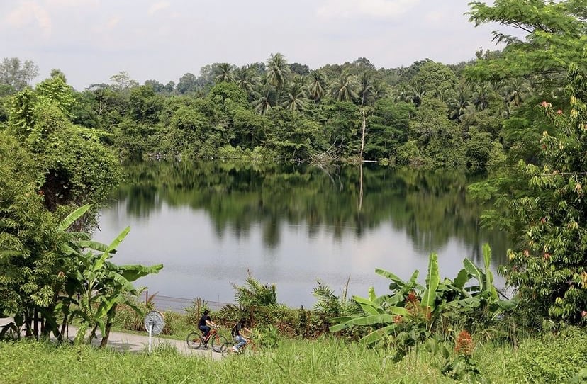 New Parks In Singapore - Coastal Arboretum, Pulau Ubin