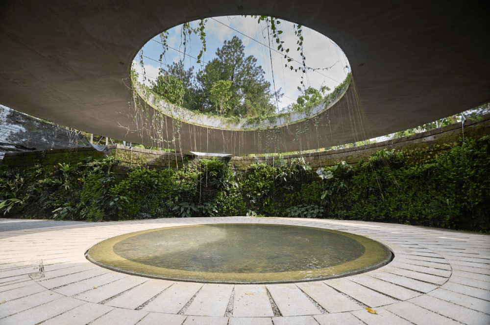 New Parks In Singapore - Japanese Garden