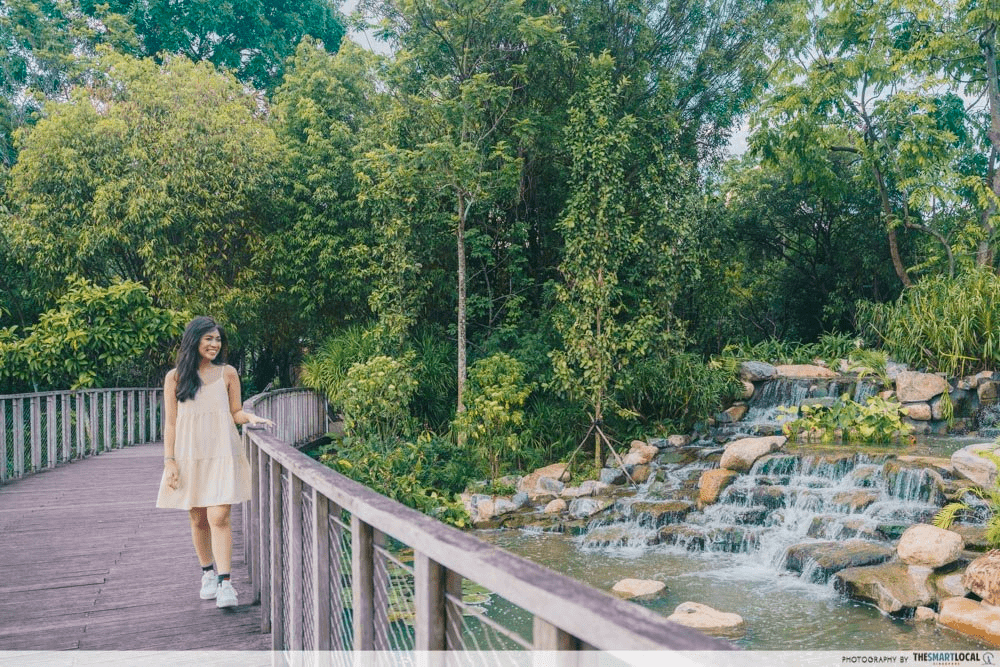 New Parks In Singapore - Kingfisher Wetlands