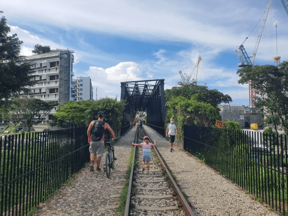 New Parks In Singapore - Rail Corridor (Central)