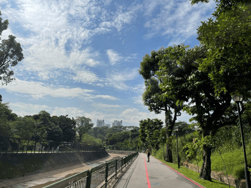 New Parks In Singapore - Sungei Pandan Park Connector