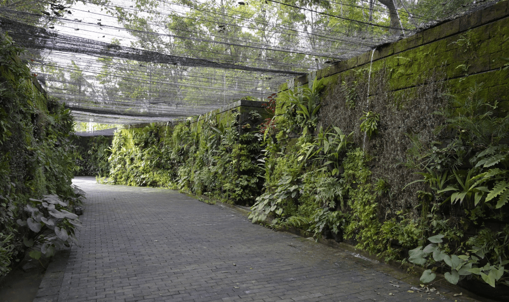 New Parks In Singapore - Sunken Garden