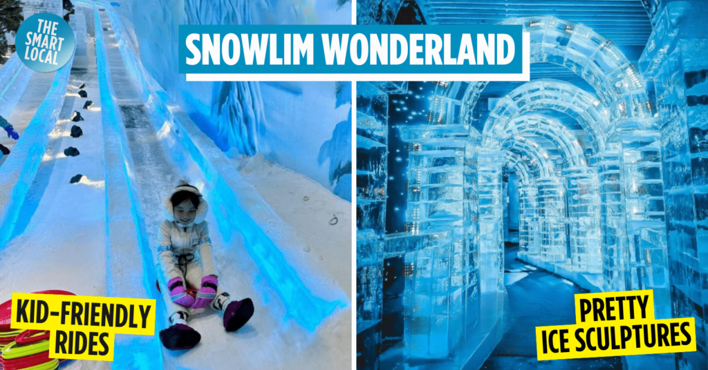 SnowLim Wonderland cover image