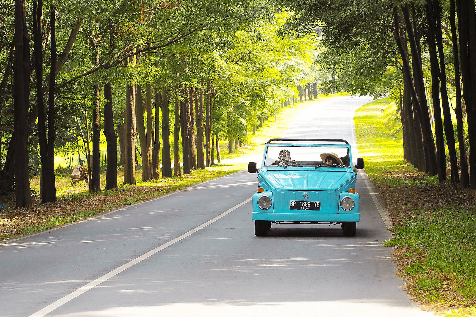 teal car in the woods