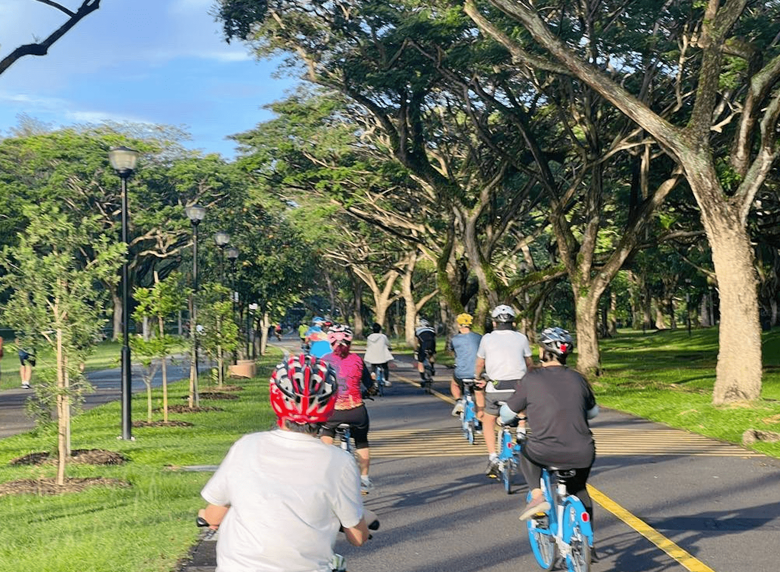 bicycle rental singapore - helloride