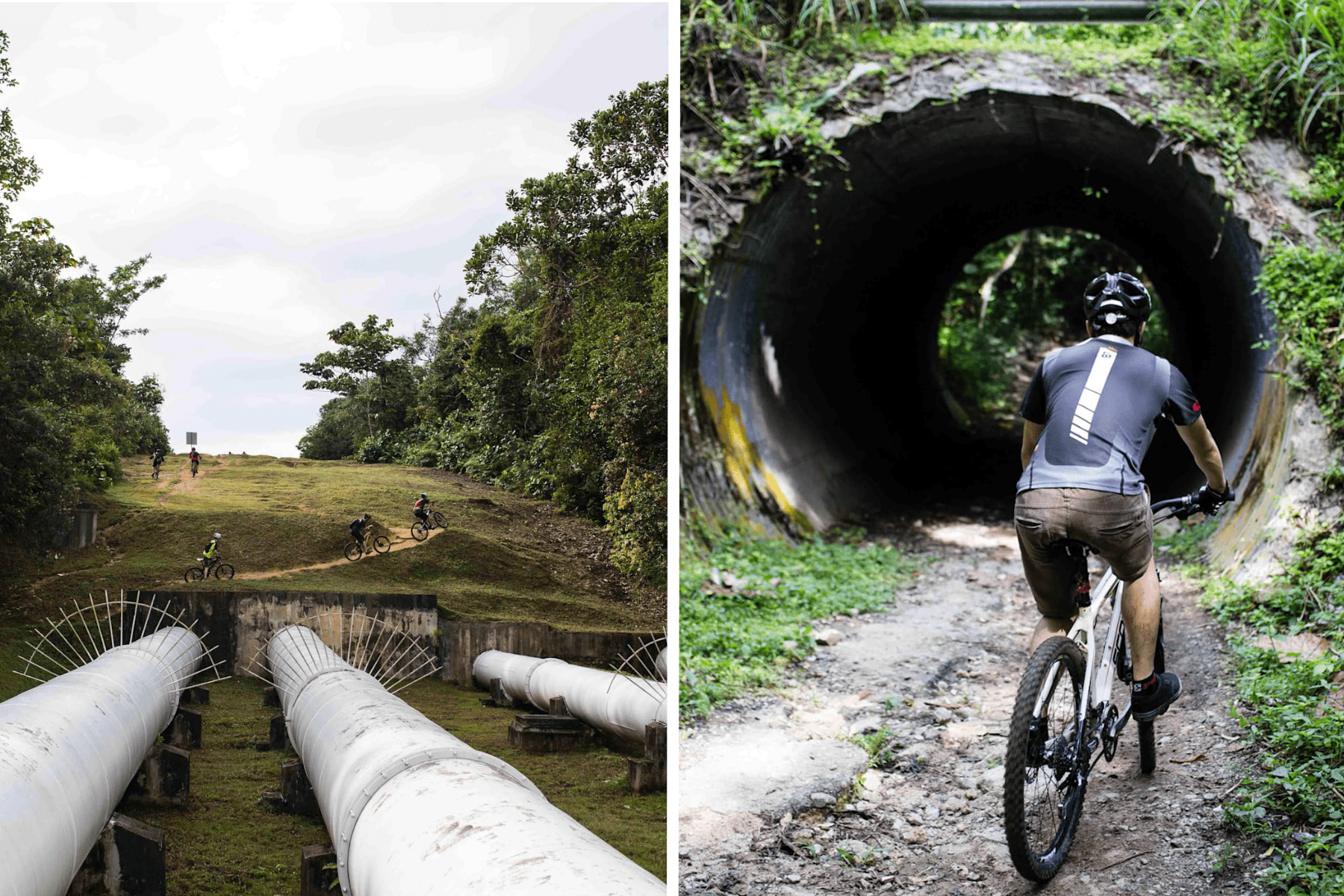 mountain bike trails singapore - Bukit Timah Mountain Bike Trail