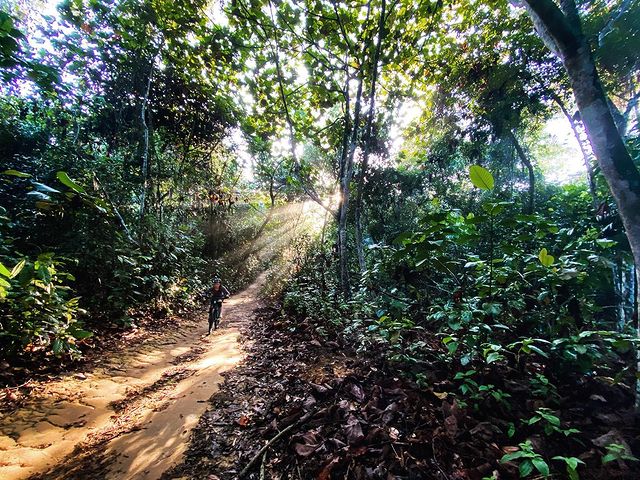 mountain bike trails singapore - Chestnut Nature Park