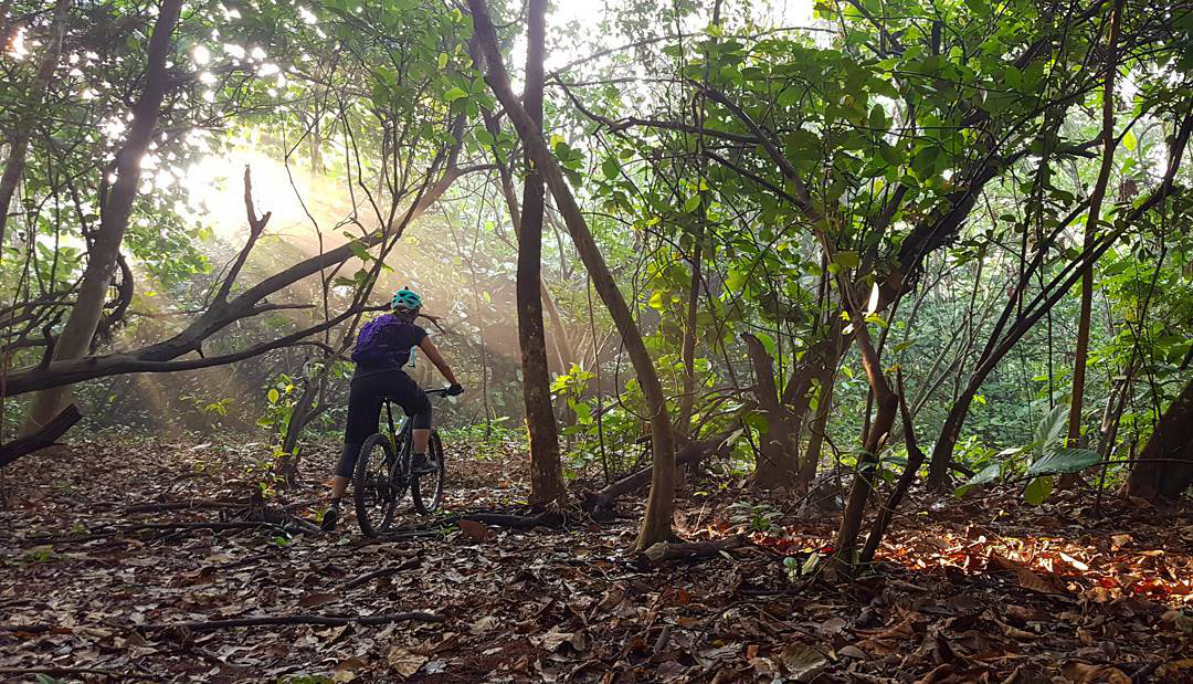 mountain bike trails singapore - Kent Ridge Mountain Bike Trail