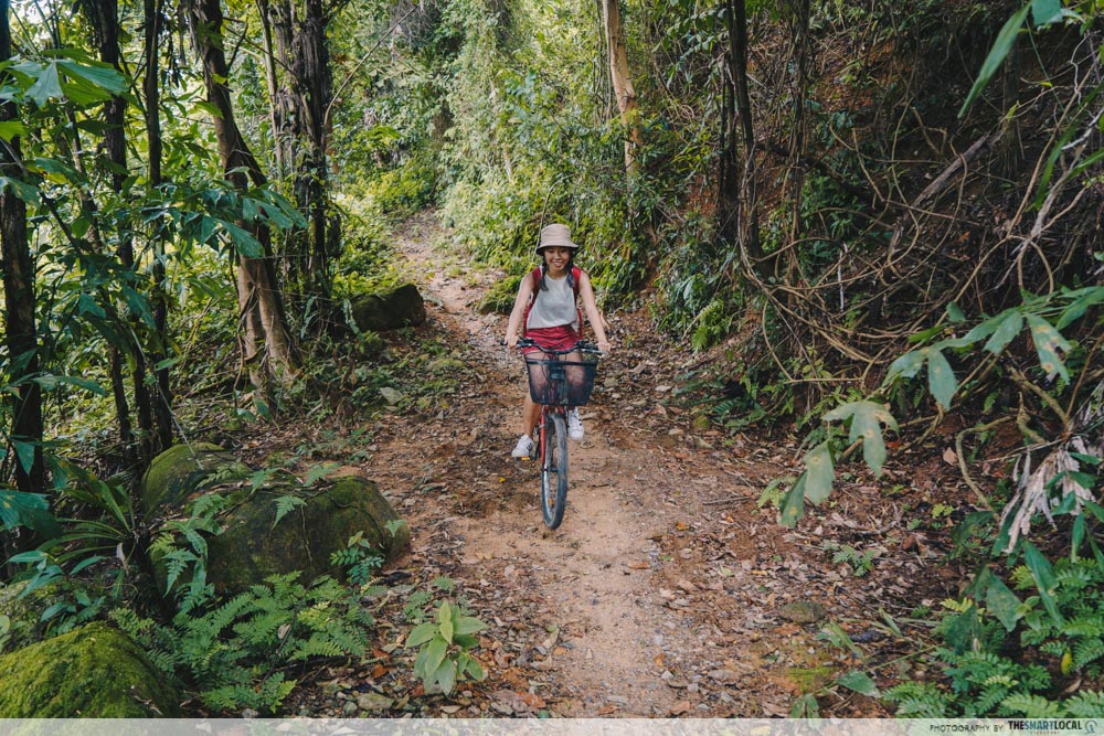 mountain bike trails singapore - Ketam Mountain Bike Park pulau ubin