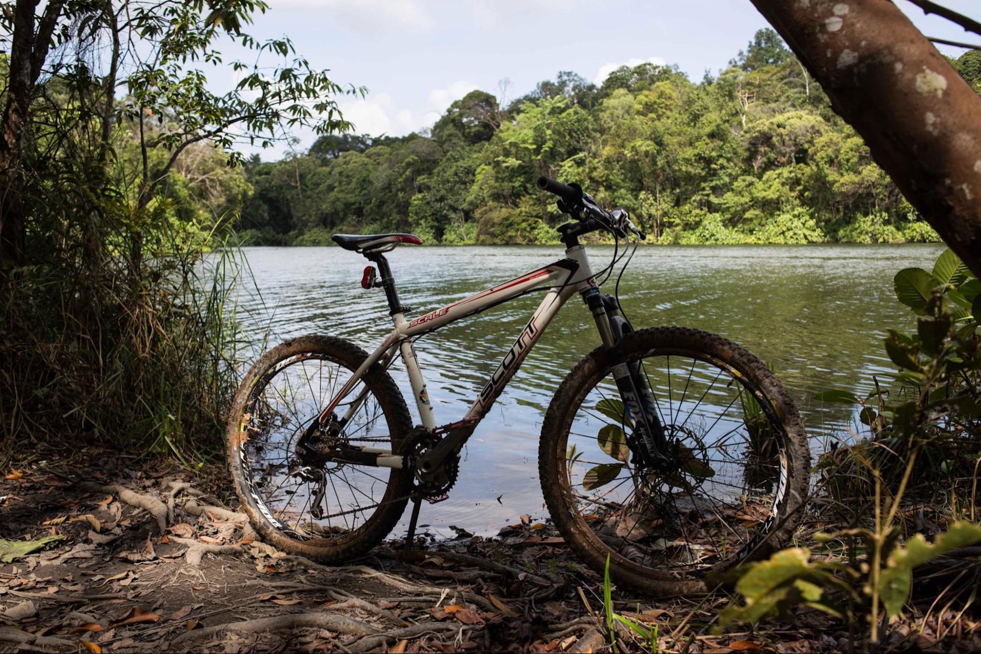 mountain bike trails singapore - Mandai Track 15 central catchment reserve