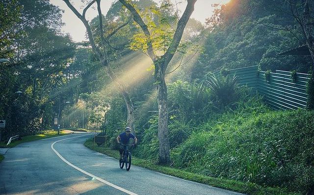 mountain bike trails singapore - Rifle Range Road