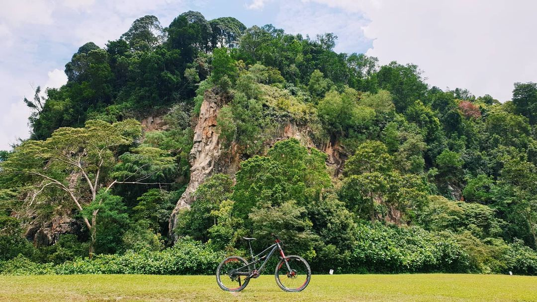 mountain bike trails singapore - dairy farm nature park