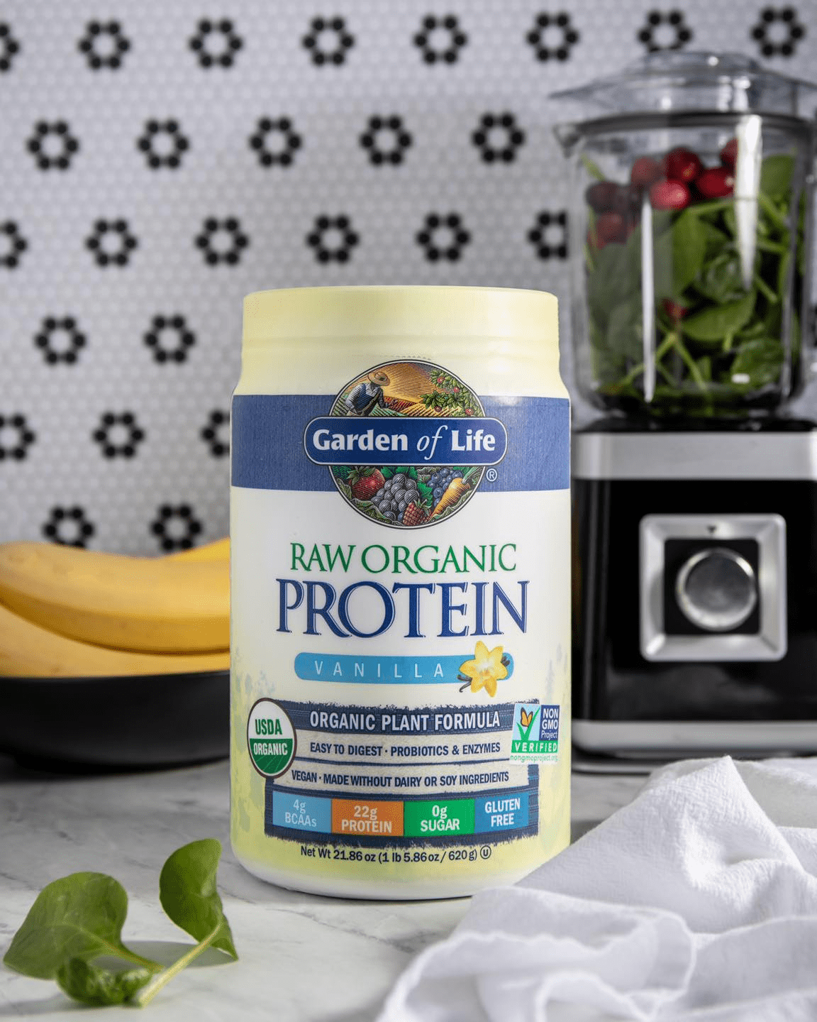 protein powders singapore - Garden of Life Raw Organic Protein