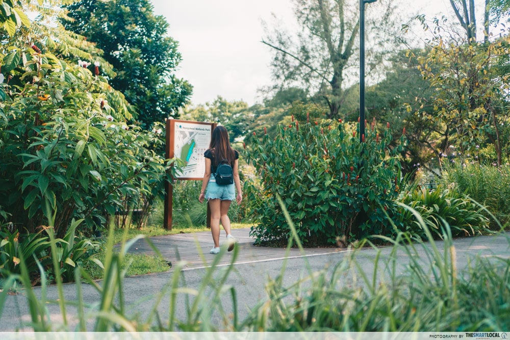 seletar aerospace park - Hampstead Wetlands Park