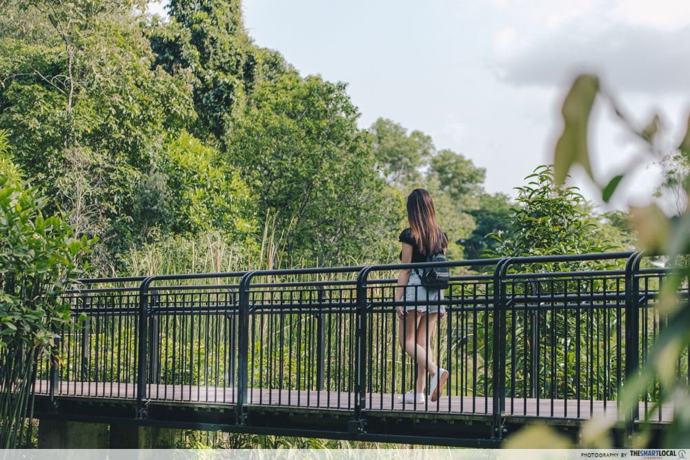 seletar aerospace park - bridge