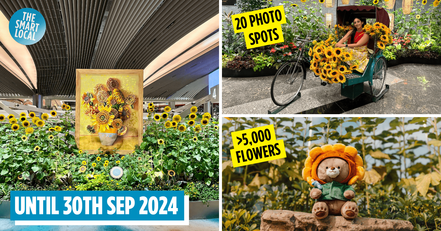 Changi Airport Has A Sunflower Display At All 4 Terminals & A Cute Limited Edition Plushie