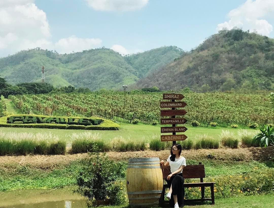 PB Valley Khao Yai Winery 