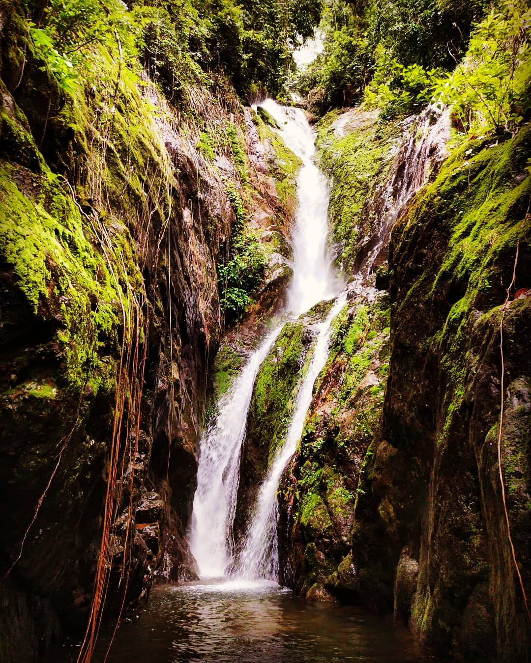 Bangkok Day Trips - Klong Neung waterfall