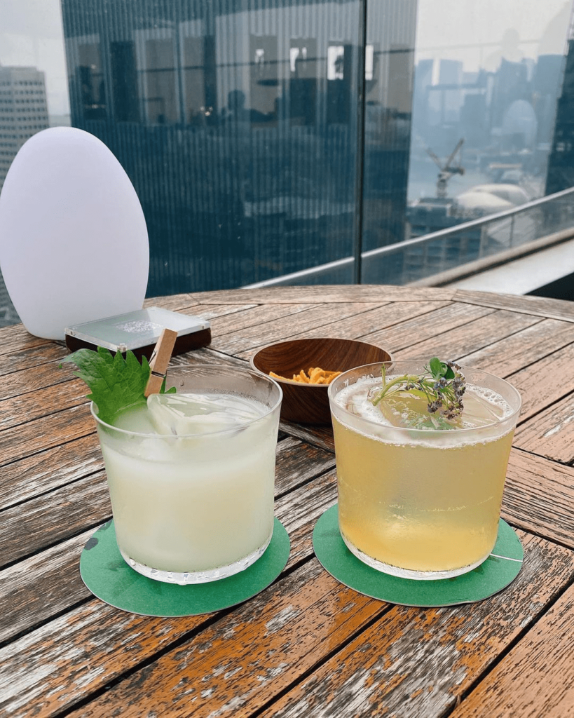 Best Rooftop Bars Singapore - Mr Stork Drinks