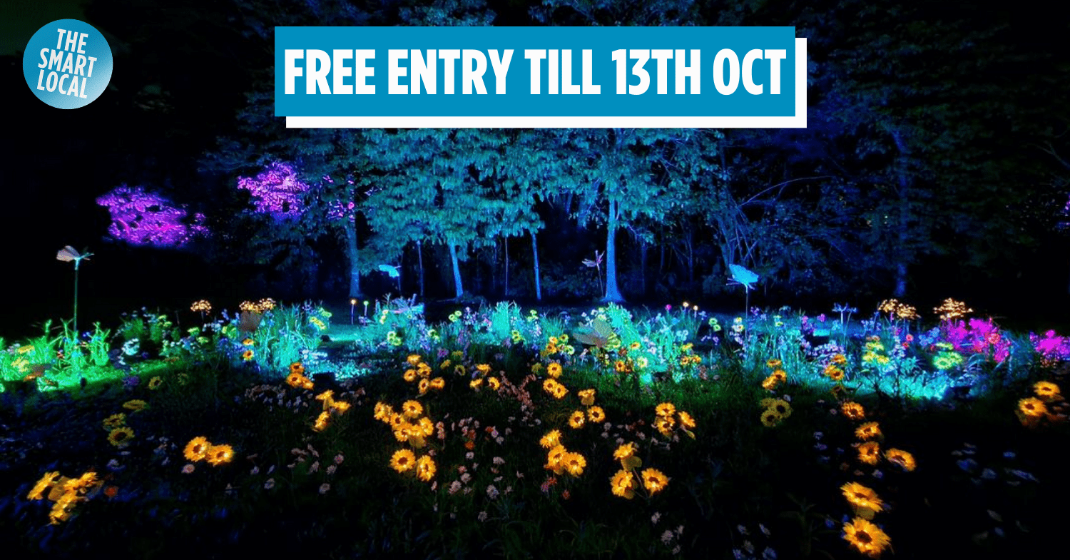 Choa Chu Kang Park Has An Enchanted Garden With Illuminated Flowers, Free Ice Cream & Live Performances