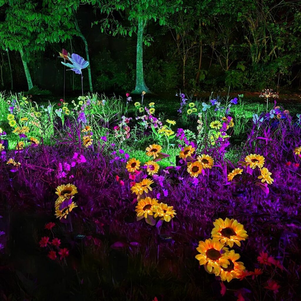 Enchanted Garden - Sunflowers Close Up