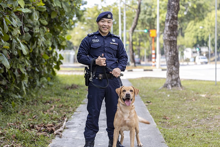 Handler with a K-9 dog