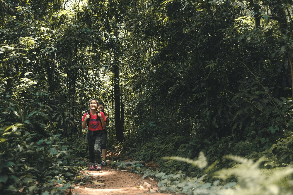 Hiking in Chestnut Nature Park