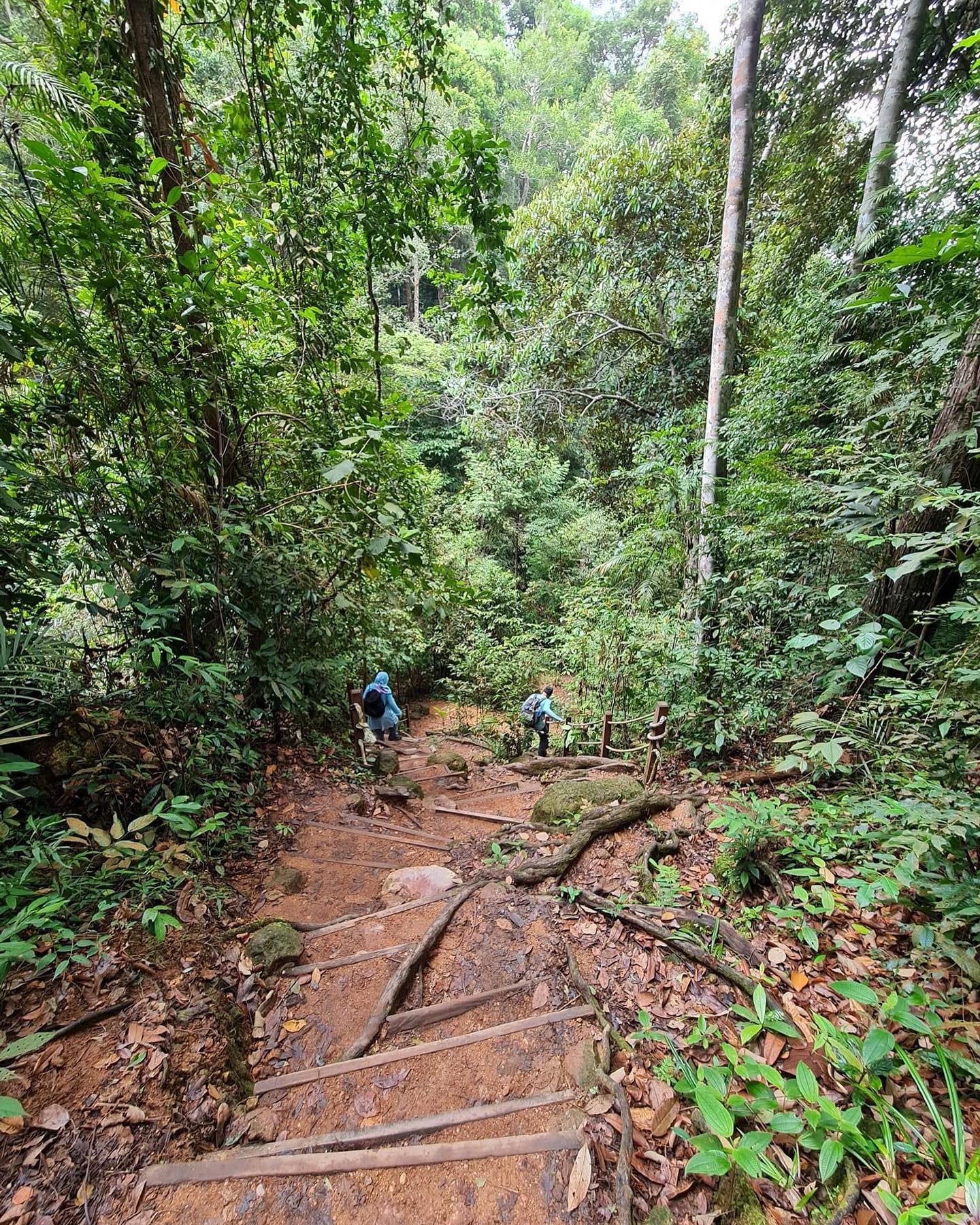 Hiking up Gunung Lambak