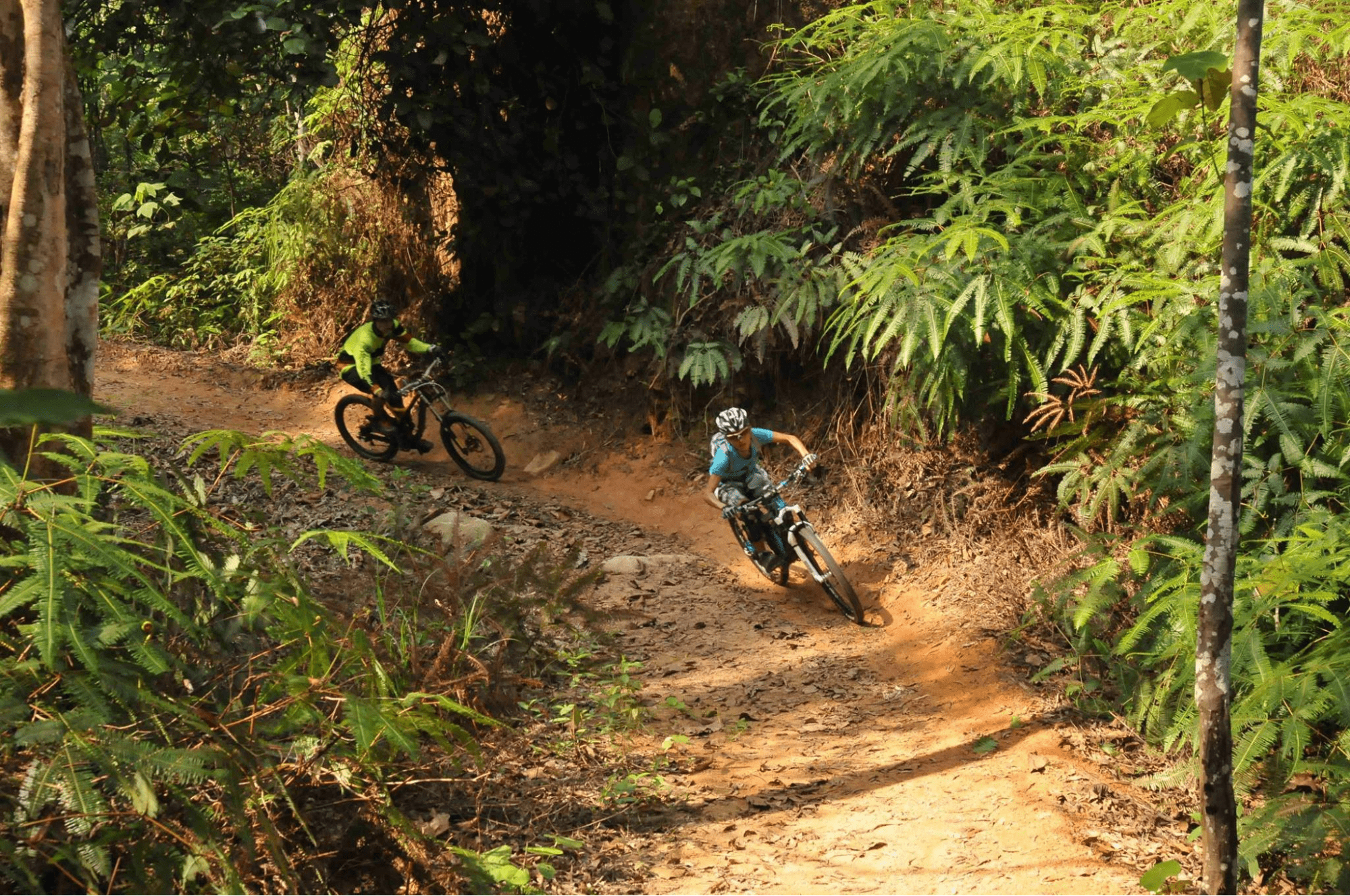 Mountain biking