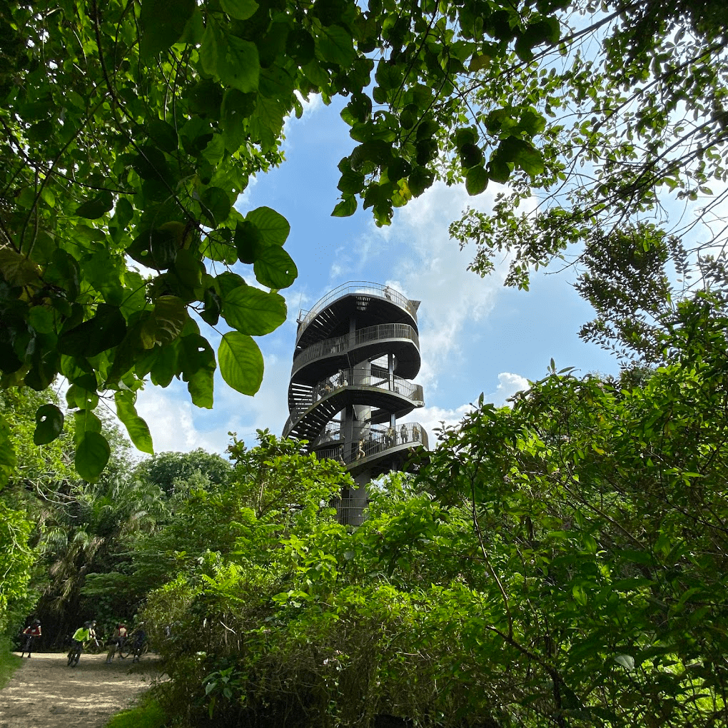 Observation Tower at Northern Hiking Loop