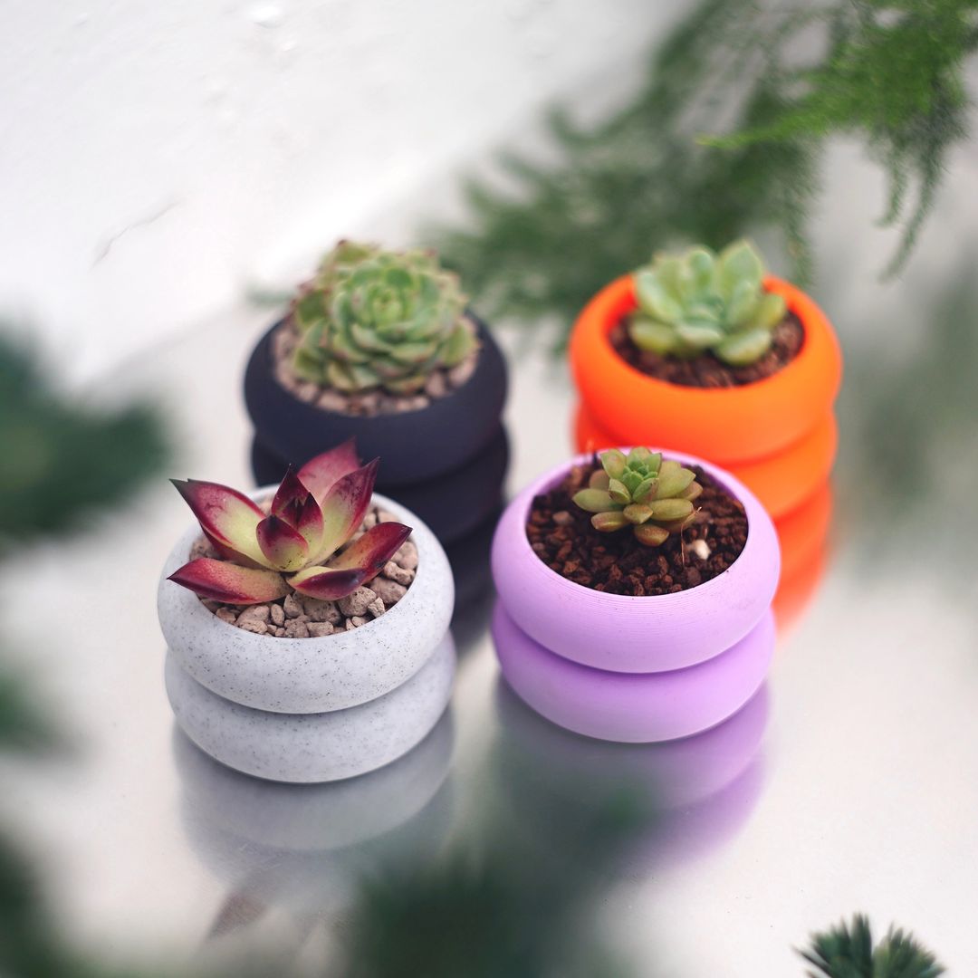 PLOOK PLOOK plants & planters