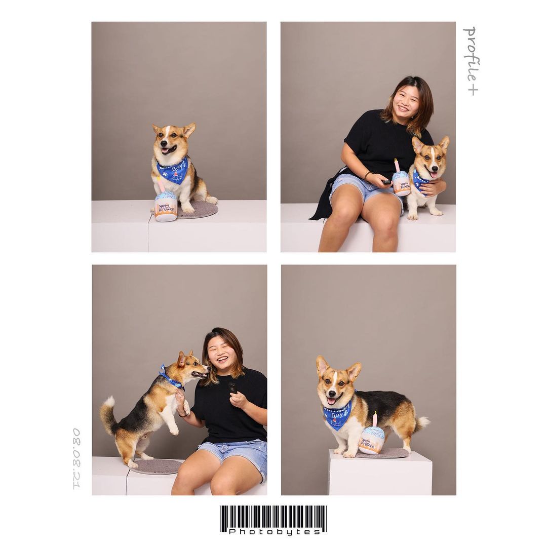 Photobytes pet portraits