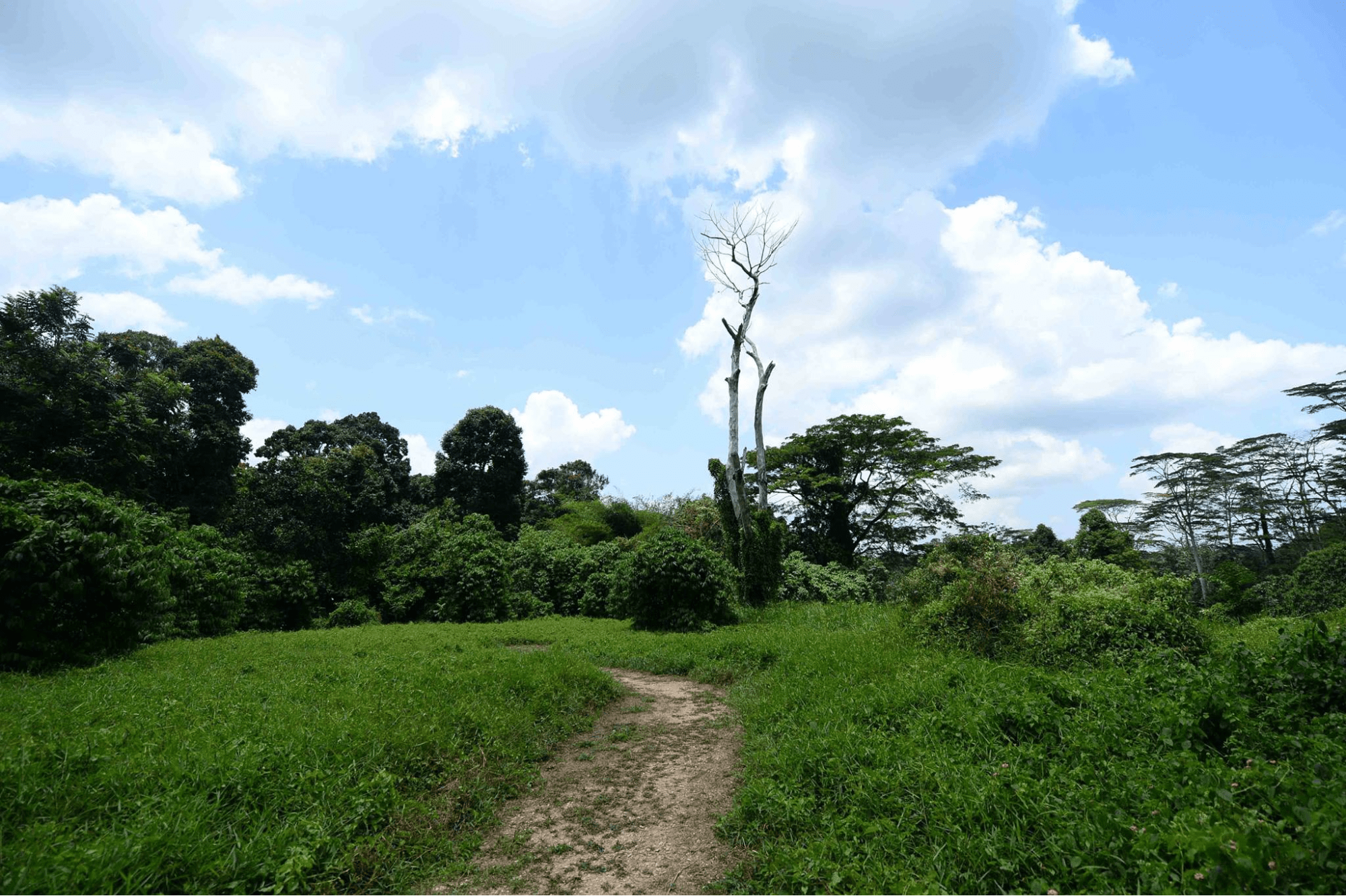 Southern Hiking Loop