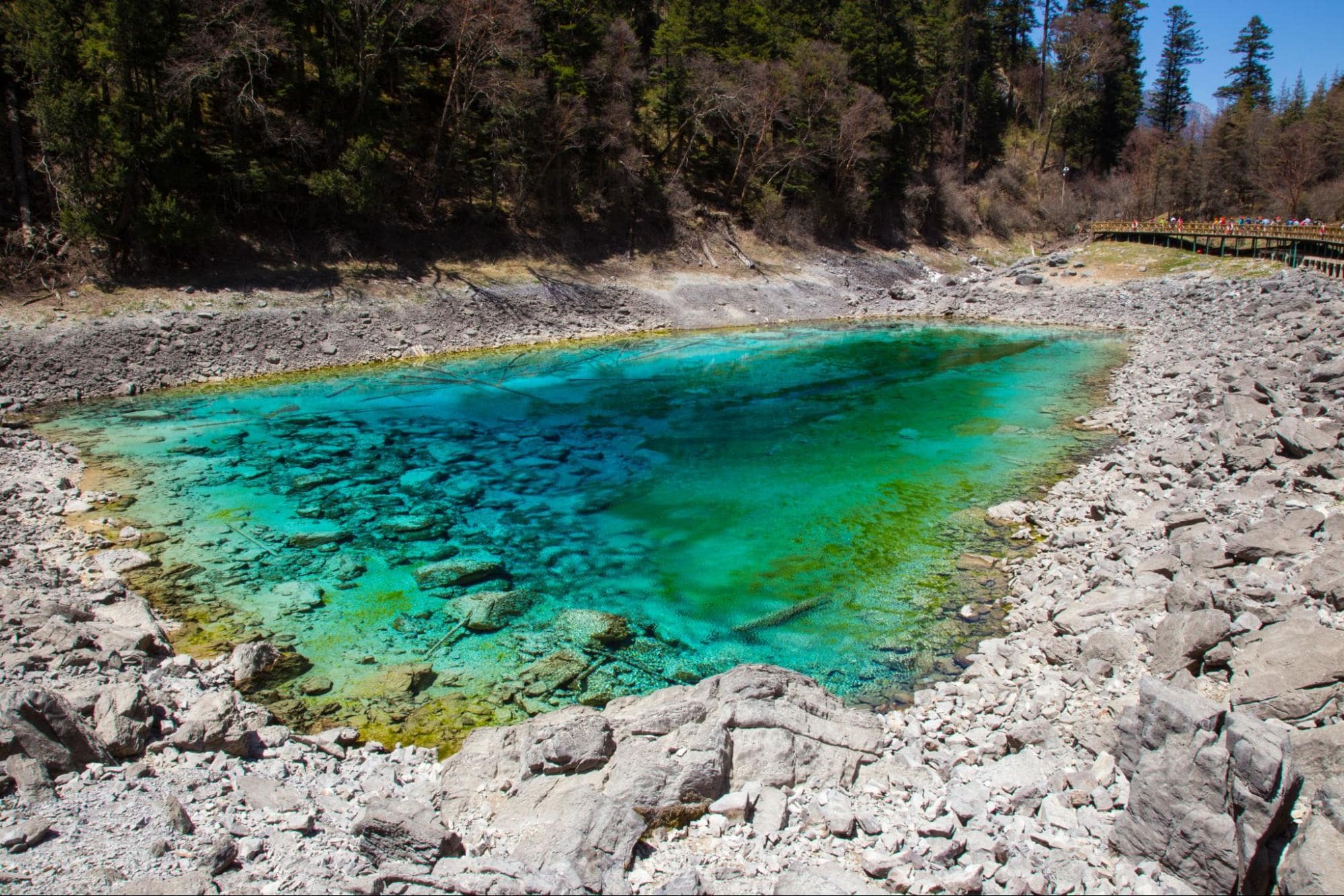 small lake with clear bluish green waters