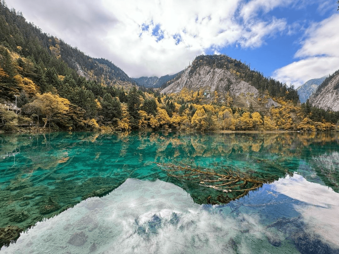 jiuzhaigou national park five flower lake